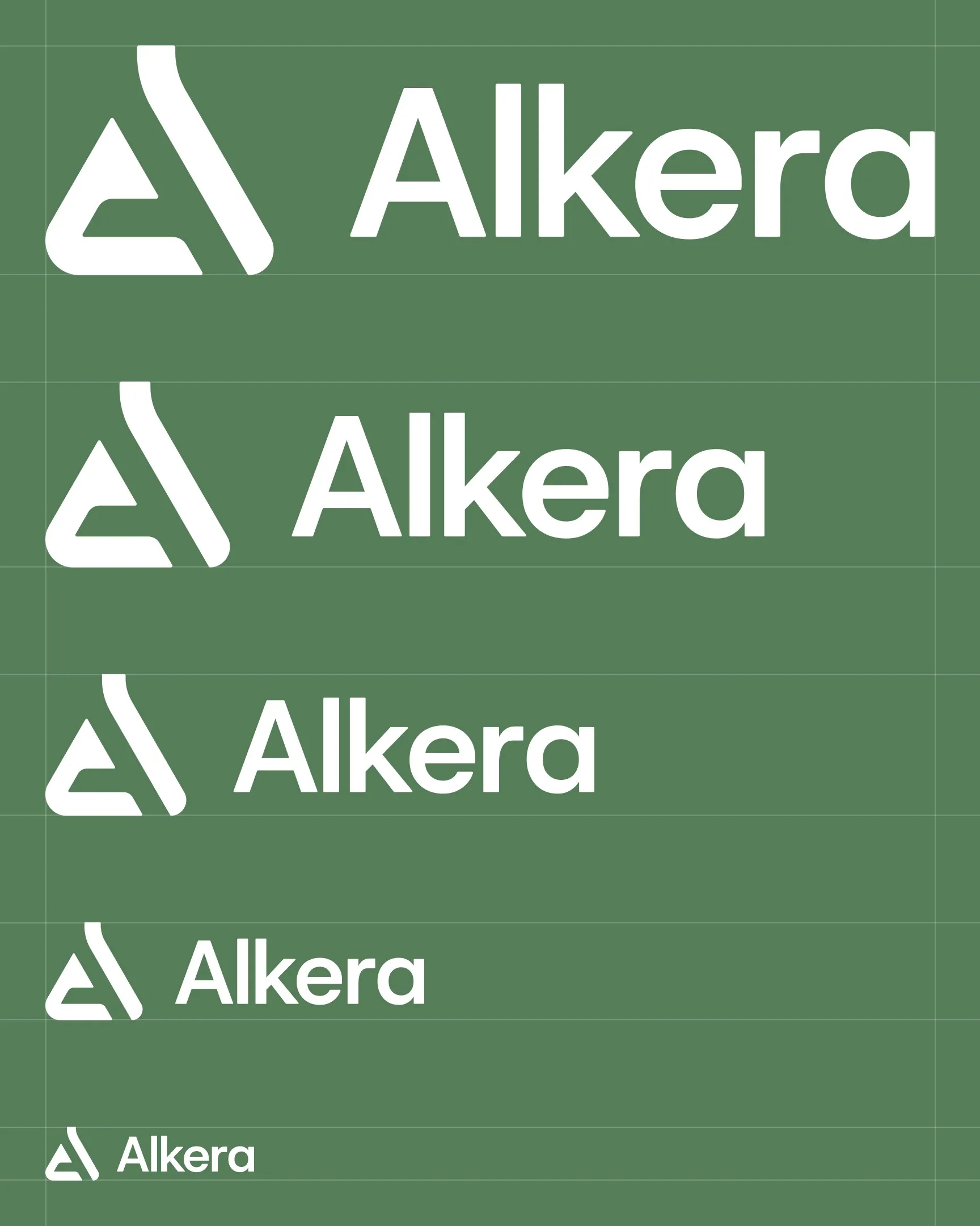 Work Showcase - Alkera Project